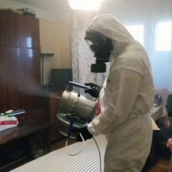 Дезинфекция от клопов в Бронницах