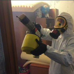 Уничтожение клопов в квартире. Бронницы